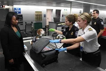 Biometric ntsiav tshuaj pab kev nyab xeeb ciam teb
